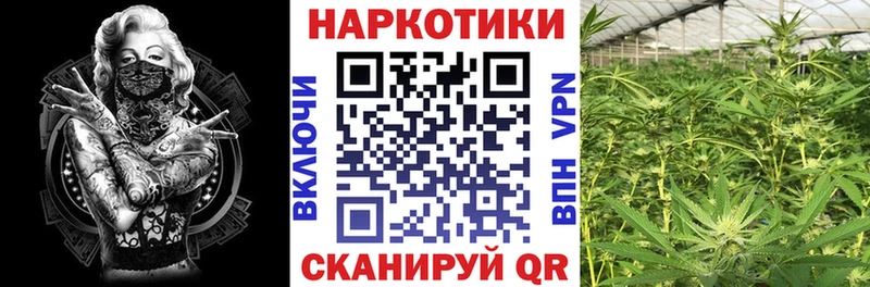 Где продают наркотики Шумиха Амфетамин  omg маркетплейс  ГАШ  Канабис  Меф мяу мяу  COCAIN  Alpha PVP 
