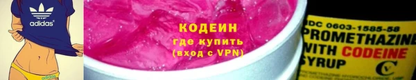 хмурый Алзамай