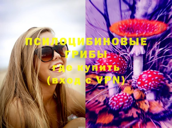 хмурый Алзамай