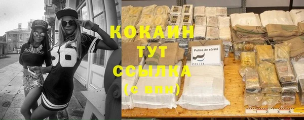 хмурый Алзамай